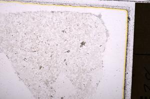 Plane Polarized, E40556