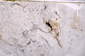 Plane Polarized, E40569