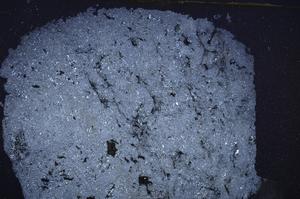 Cross Polarized, E40575