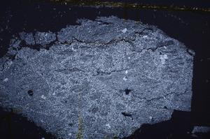 Cross Polarized, E40589