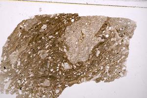 Plane Polarized, E40622