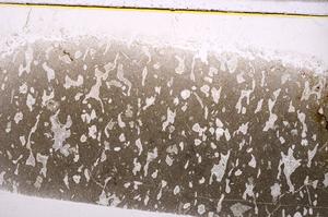 Plane Polarized, E40638