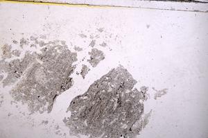 Plane Polarized, E40642