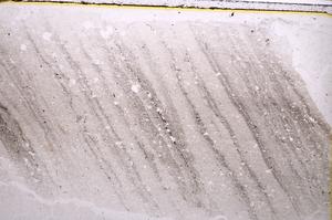 Plane Polarized, E40644