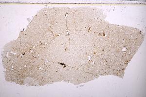 Plane Polarized, E40652