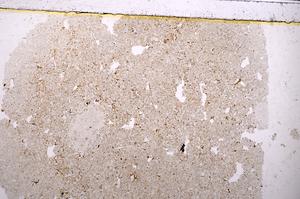 Plane Polarized, E40654