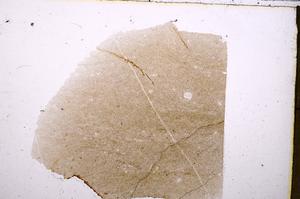 Plane Polarized, E40655