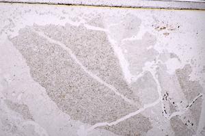 Plane Polarized, E40811