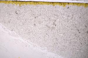Plane Polarized, E40815/A