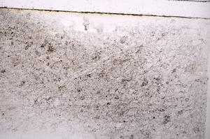 Plane Polarized, E40864