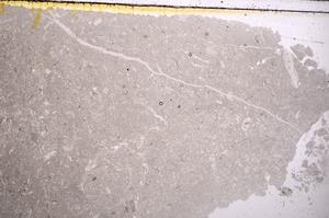 Plane Polarized, E40886