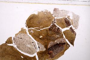 Plane Polarized, E40892