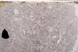 Plane Polarized, E40922
