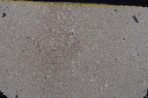 Cross Polarized, E40924