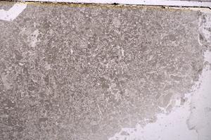 Plane Polarized, E40928