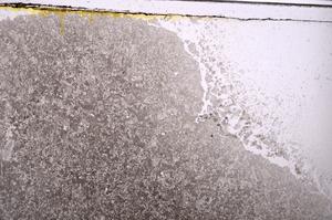 Plane Polarized, E40929
