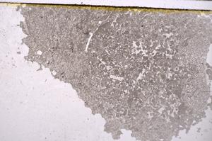 Plane Polarized, E40930