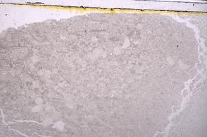 Plane Polarized, E40931