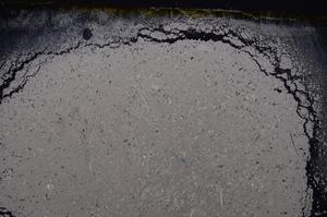 Cross Polarized, E40935