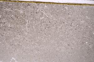 Plane Polarized, E40947