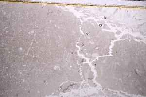 Plane Polarized, E40950
