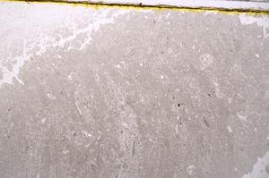 Plane Polarized, E40951