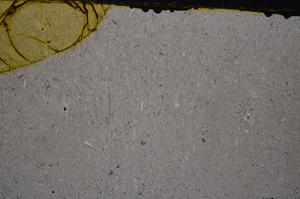Cross Polarized, E40953