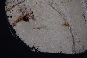 Cross Polarized, E40956