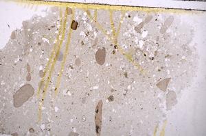 Plane Polarized, E40962