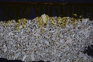 Cross Polarized, E40971