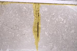 Plane Polarized, E40981
