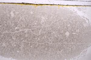 Plane Polarized, E40982