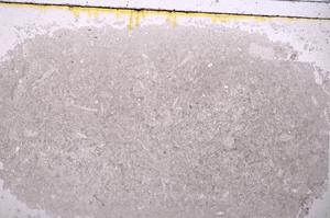 Plane Polarized, E40984