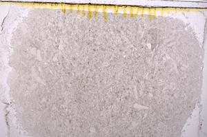 Plane Polarized, E40986