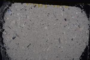 Cross Polarized, E40986