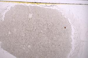 Plane Polarized, E40987