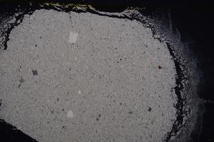 Cross Polarized, E40987