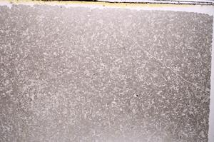 Plane Polarized, E41055