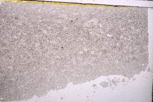 Plane Polarized, E41056