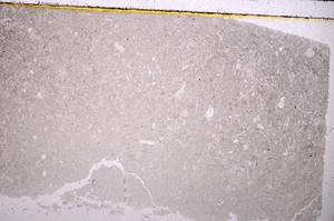 Plane Polarized, E41058
