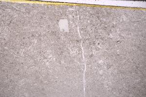 Plane Polarized, E41058/A