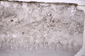 Plane Polarized, E41059