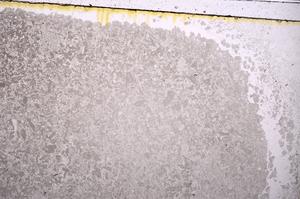 Plane Polarized, E41063