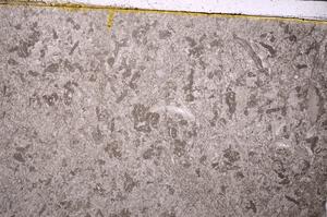 Plane Polarized, E41064