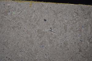 Cross Polarized, E41064