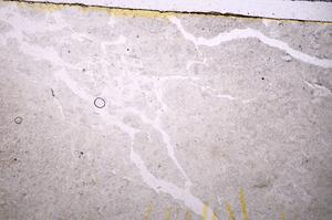 Plane Polarized, E41093