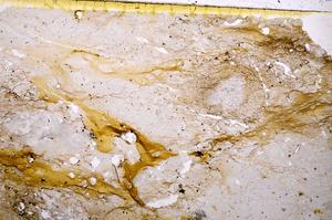 Plane Polarized, E41097