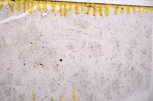 Plane Polarized, E41102