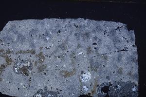 Cross Polarized, E41111