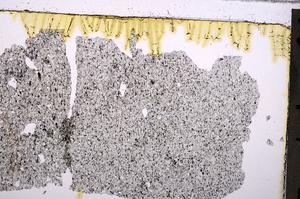 Plane Polarized, E41115